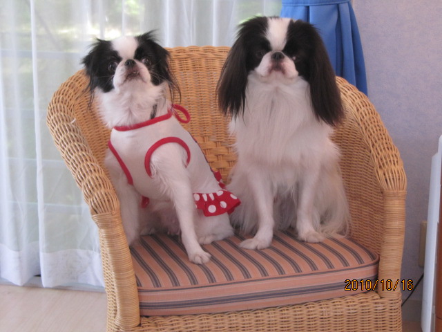 c0200916_345513.jpg