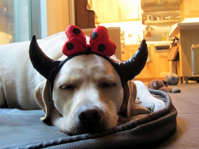 Halloween_e0192217_11225646.jpg