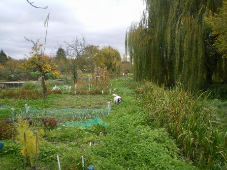 c0124619_3552642.jpg