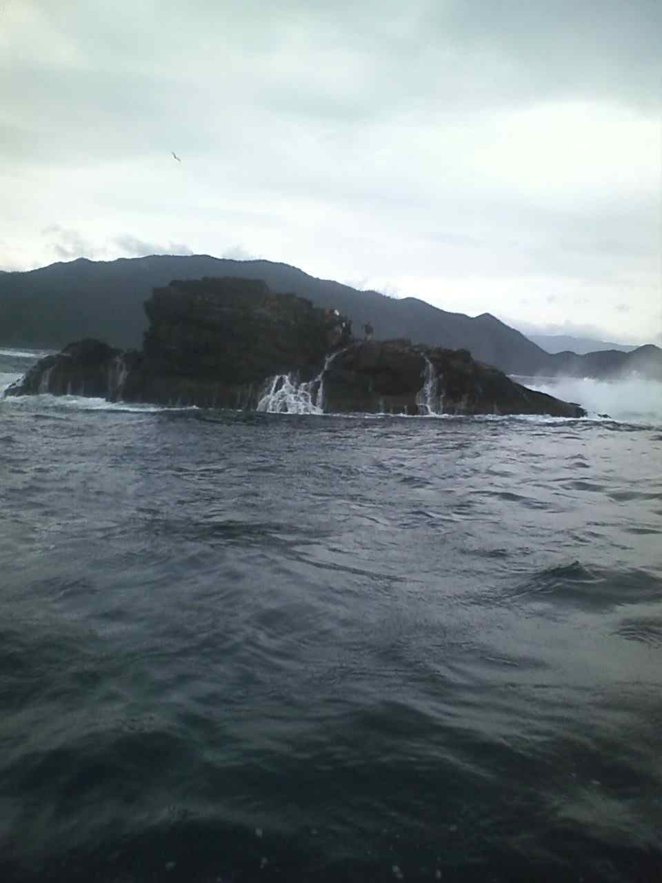 d0175424_2022862.jpg