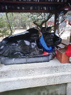 e0128024_235927.jpg
