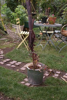 f0170524_13402716.jpg