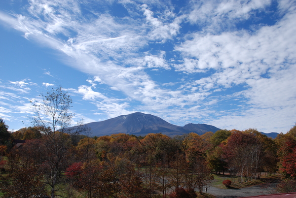 clear autumn sky_b0174425_12385649.jpg