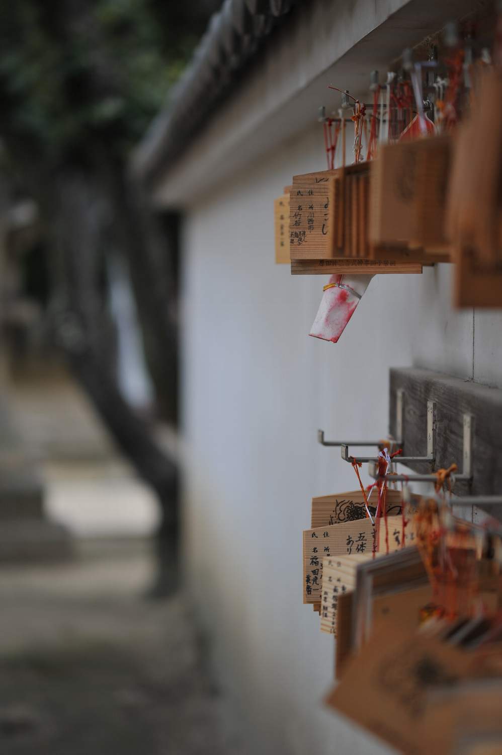 Ai Nikkor 105mmで 原田神社へ_b0069128_1755853.jpg