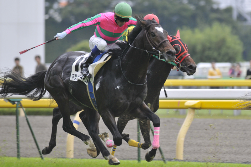 人気満点 天皇賞・秋2010 Blog ADC : 凛として強いブエナビスタ 趣味