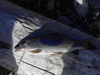d0122331_1945264.jpg