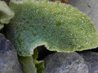 d0122331_19464253.jpg