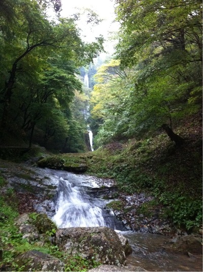 f0112434_22082.jpg