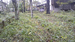 f0161535_19472048.jpg