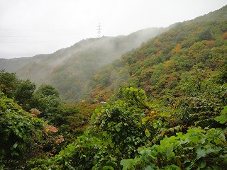 a0023043_21175079.jpg
