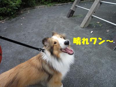 台風前の雨の合間_e0195743_20125488.jpg