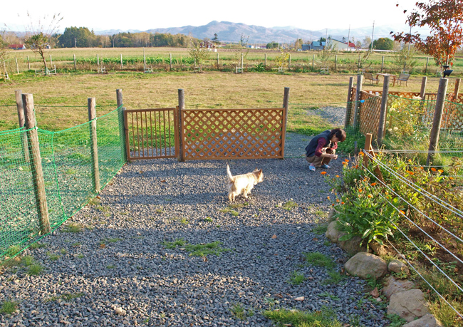 初雪間近の札幌とニセコ( 2010.10.22〜24)　その4_c0147548_21125493.jpg