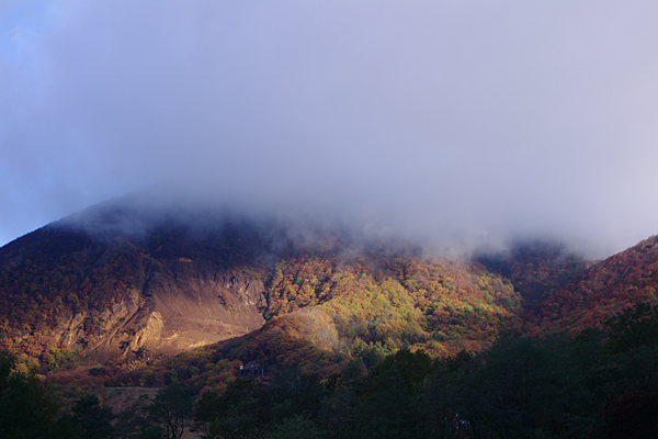 リフレッシュ旅行（仙台・松島・気仙沼・蔵王・磐梯）_f0006648_2305087.jpg