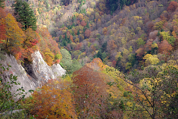 リフレッシュ旅行（仙台・松島・気仙沼・蔵王・磐梯）_f0006648_2324286.jpg