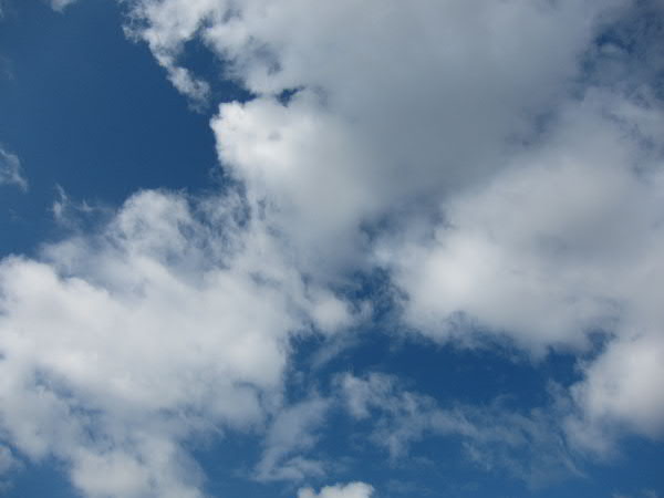 e0017051_22283414.jpg