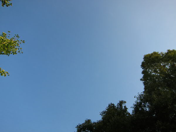 e0017051_22284590.jpg