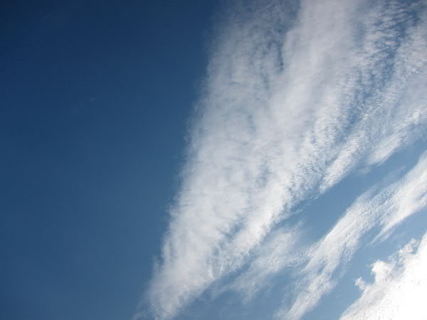 e0017051_22291063.jpg