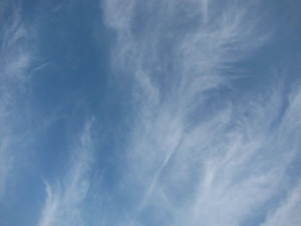e0017051_22292041.jpg