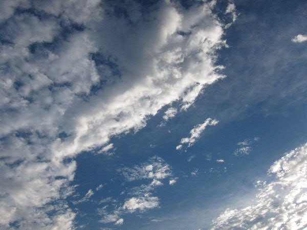 e0017051_22293392.jpg