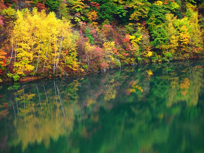横川渓谷の紅葉 1 Nick S Photo World 横川渓谷の紅葉 1 Nick S Photo World