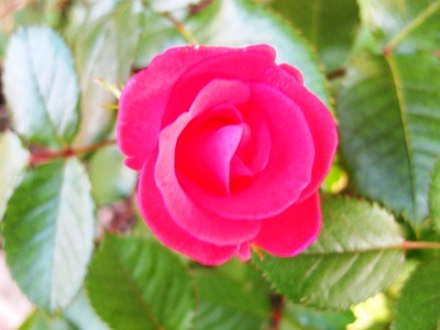 c0190960_2063926.jpg