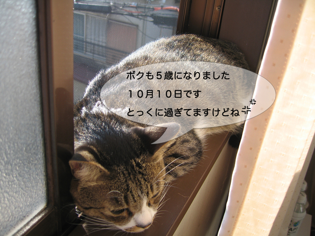 a0084070_2241699.jpg