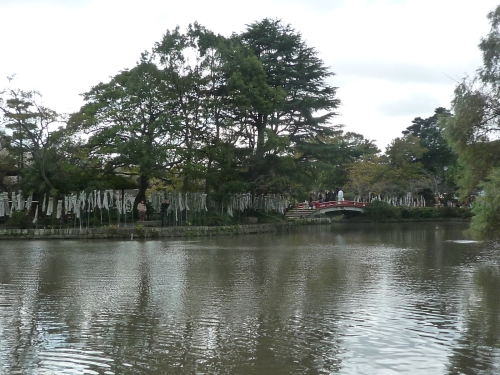 d0166373_19531543.jpg