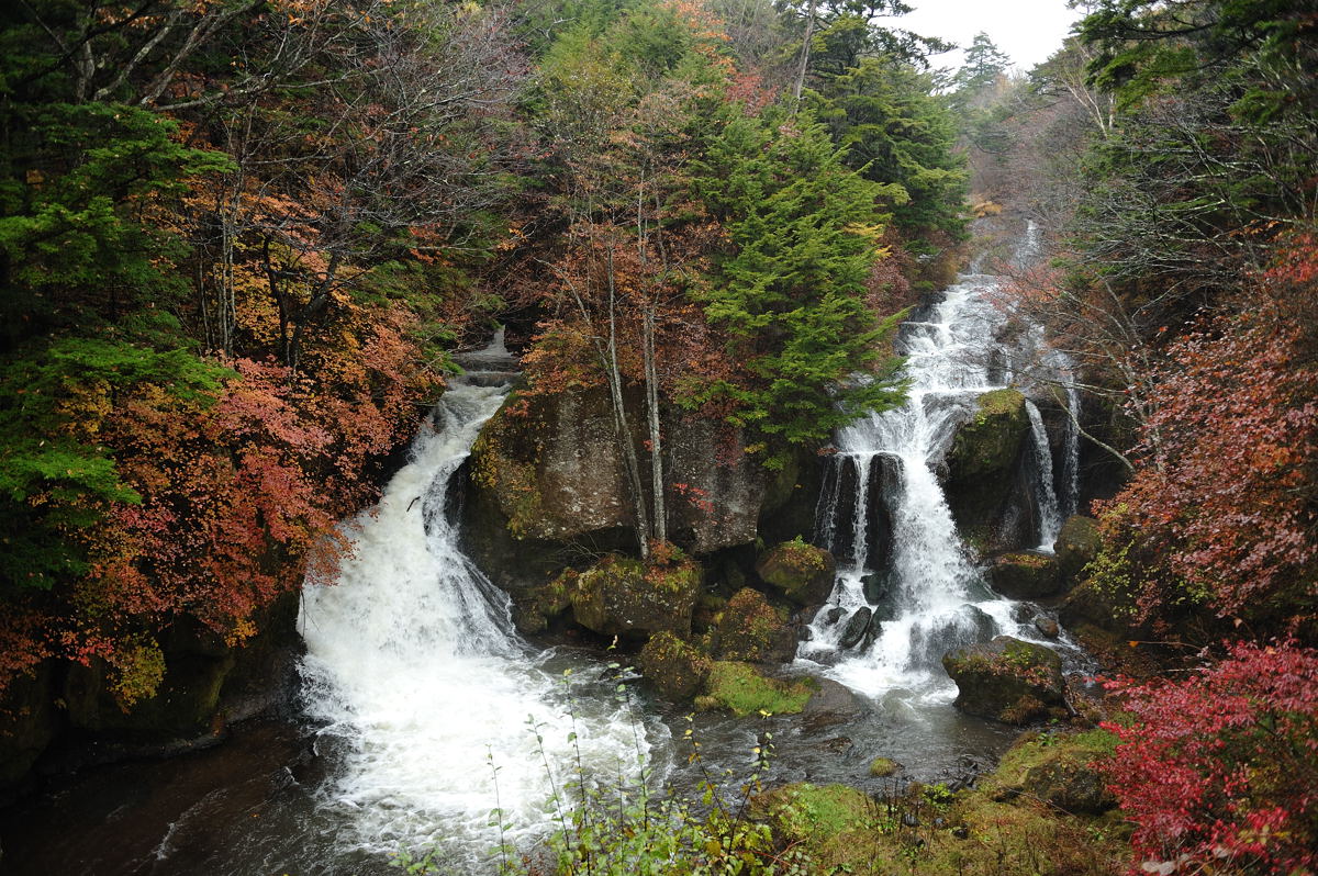 a0144081_21554120.jpg