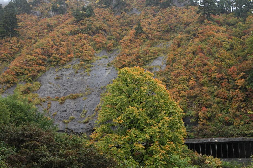 奥会津<2>　只見線　田子倉駅　2010年10月30日　撮影_e0143883_3553778.jpg