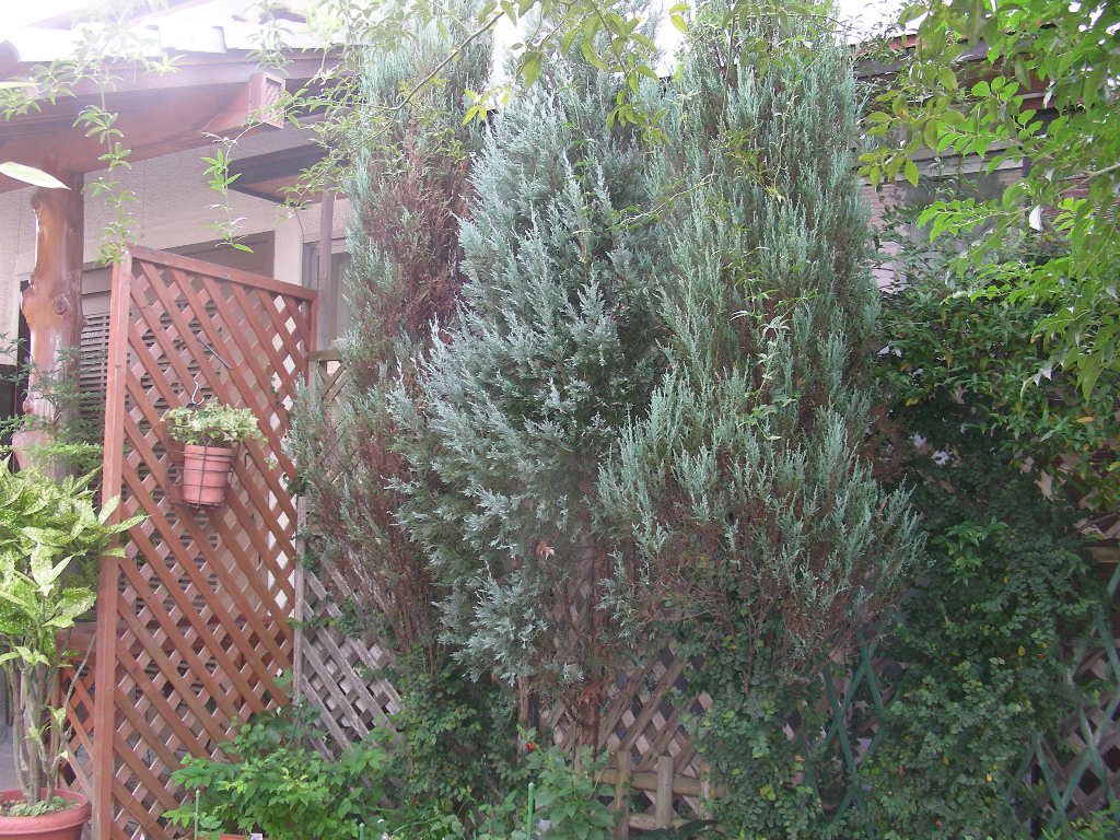 b0096584_22493522.jpg