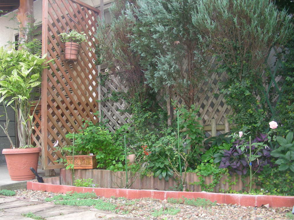 b0096584_22495285.jpg