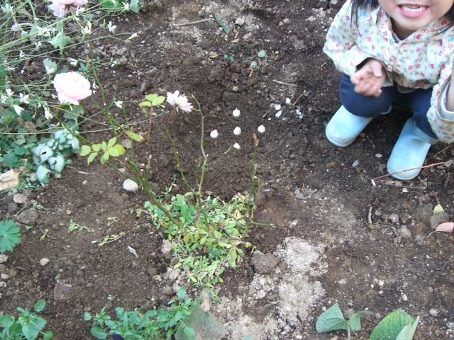 c0078586_237550.jpg