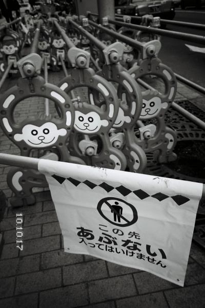 2010年10月の一日一枚(1~18日)_e0051186_19462461.jpg