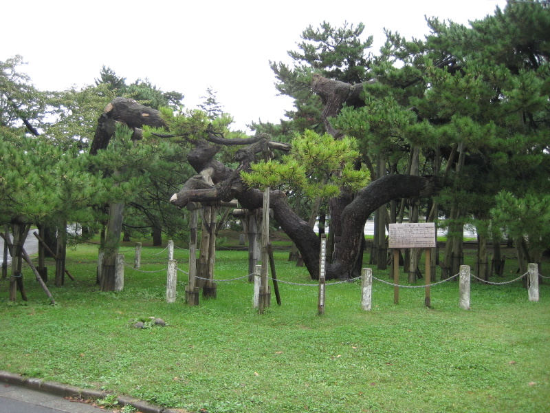 c0013687_1045016.jpg