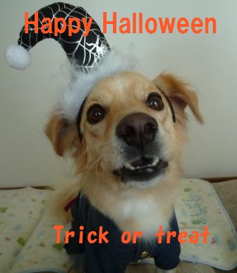 happy halloween ♪_c0196992_842366.jpg