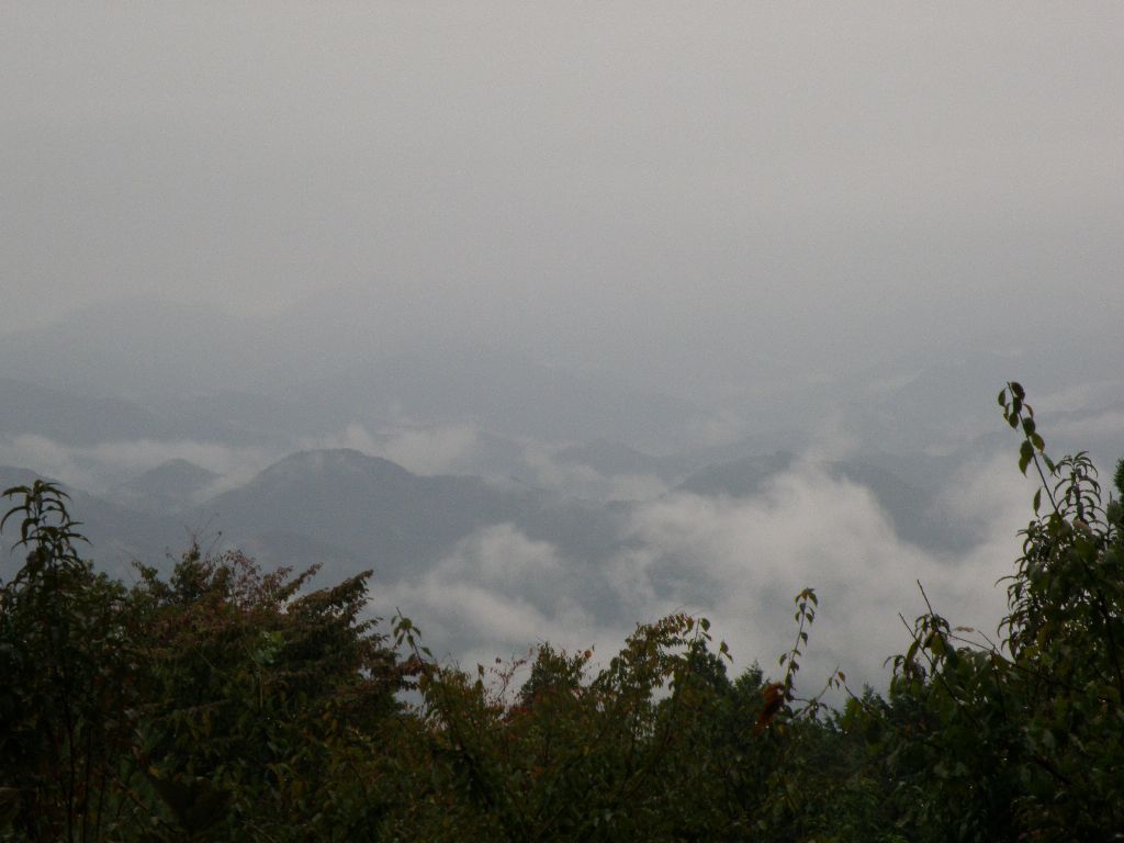 少しだけ紅葉、幽玄の高尾山　2010/10/28　曇後雨　単独_c0134193_1064347.jpg