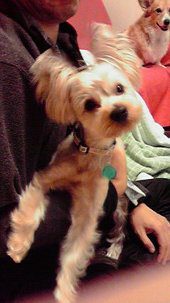f0077097_152653.jpg