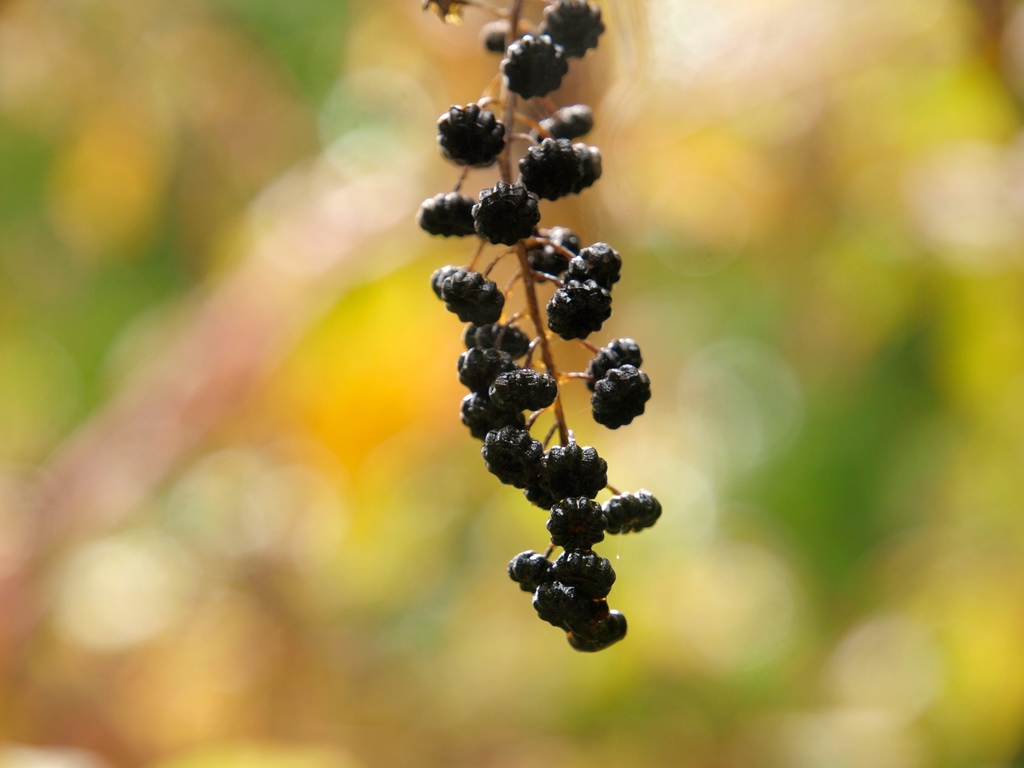 b0138101_5422136.jpg
