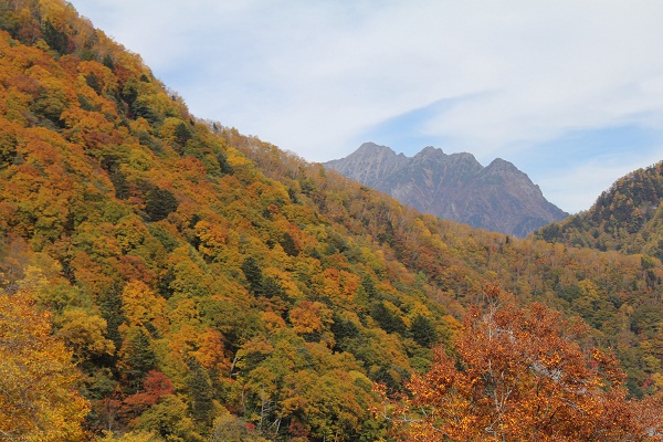 a0158702_16545186.jpg