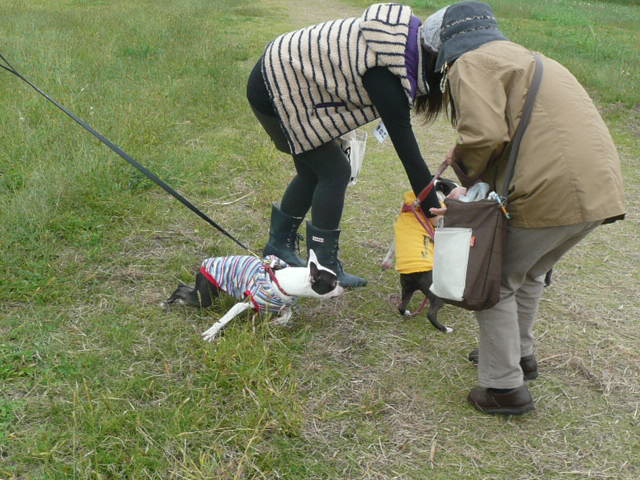 c0165909_16341349.jpg