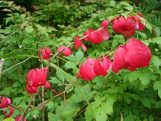 b0168412_021427.jpg