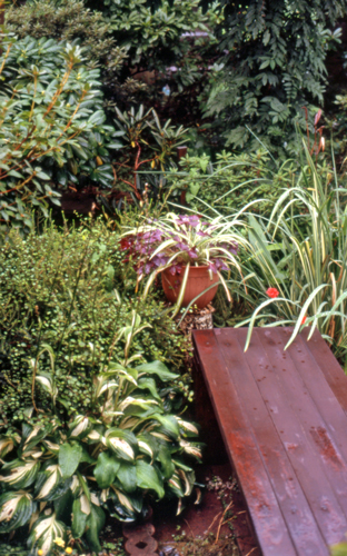 c0050712_924595.jpg