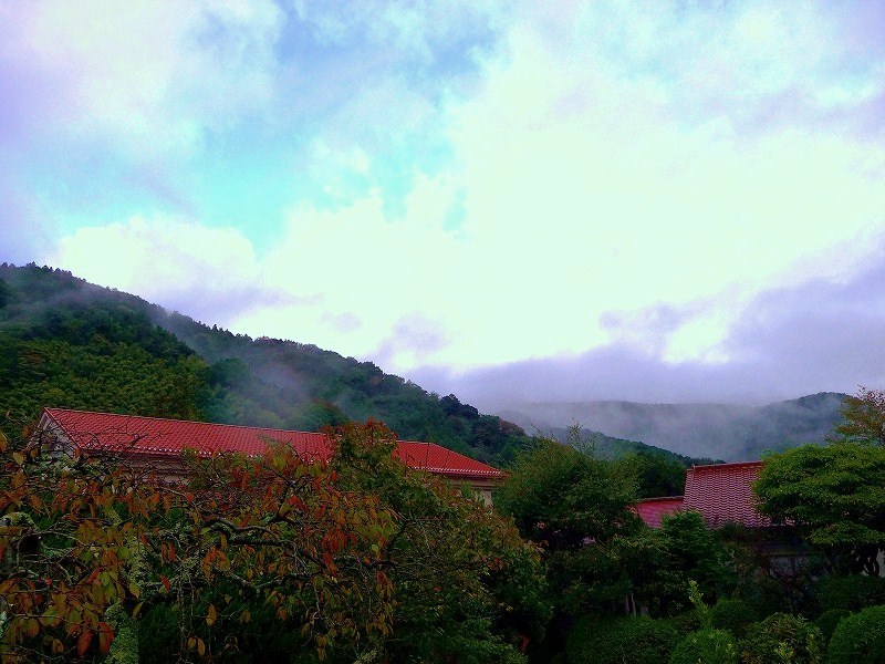 f0182513_8504867.jpg