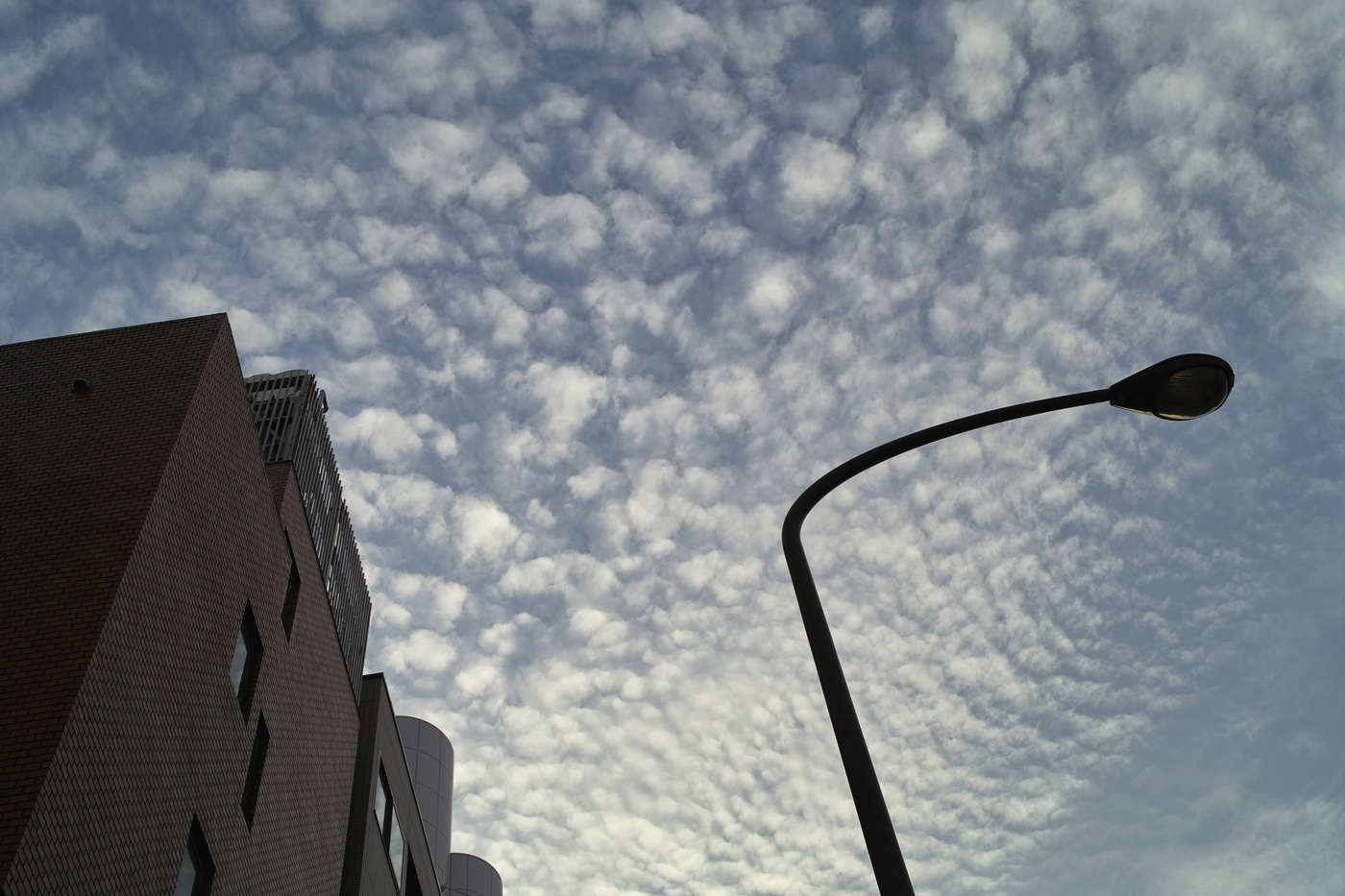 c0213117_2444375.jpg
