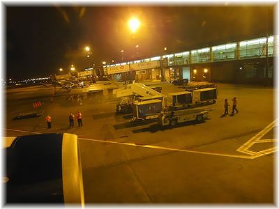 d0149617_1957228.jpg