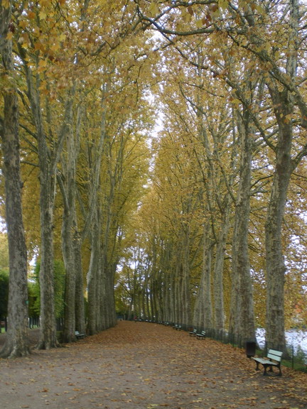 c0124619_055216.jpg