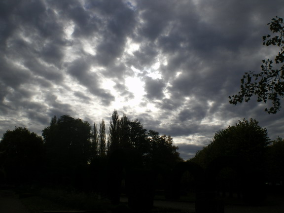c0124619_0561656.jpg