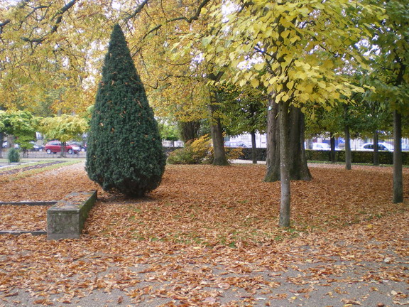 c0124619_058863.jpg