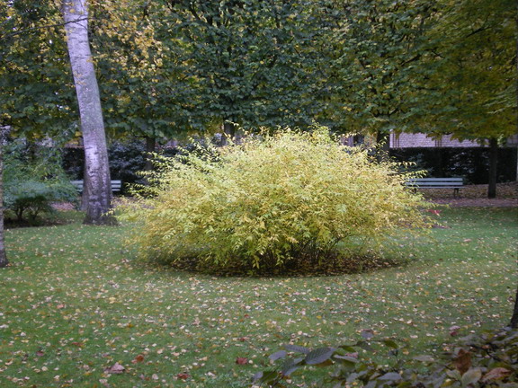 c0124619_45651.jpg
