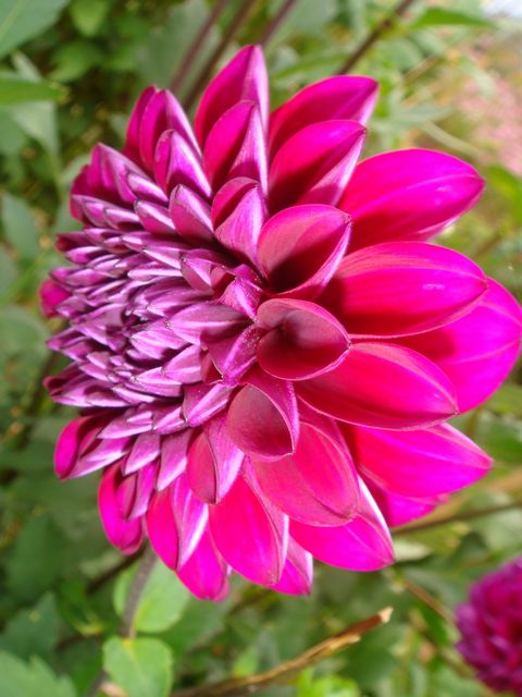 c0219220_1515719.jpg